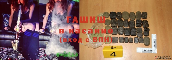 шишки Абаза