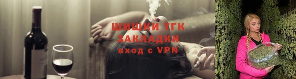 шишки Абаза