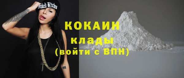 шишки Абаза