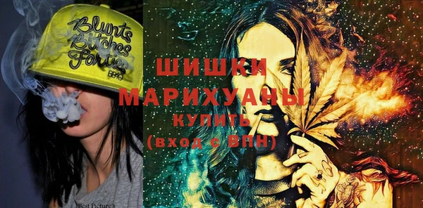 шишки Абаза