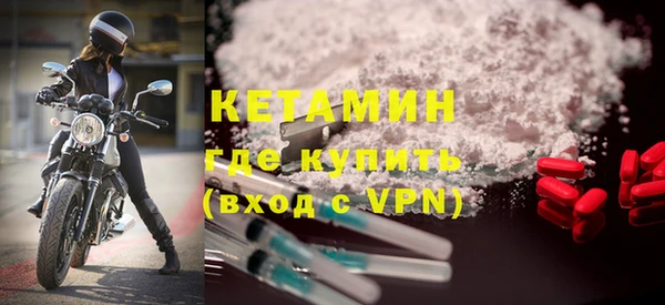 шишки Абаза